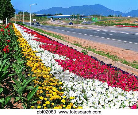 express way, highway, flower field, day, road, way, spring View Large Photo Image Stock Image - express way, highway, flower field, day, road, way, spring. Fotosearch