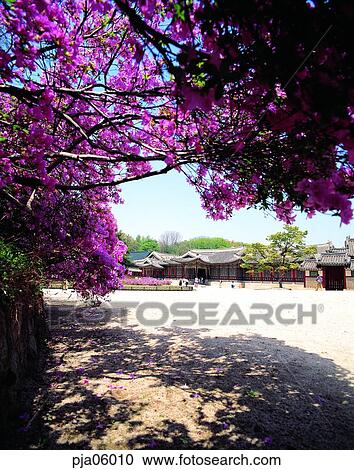 Stock Image - Kyongbokgung, Kyongbok palace, old palace, travel place, day, cultural assets, cultural properties. Fotosearch