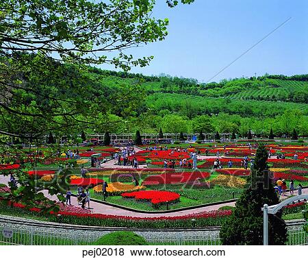 park, flower field, day, amusement park, spring, spring, person View Large Photo Image Stock Photo - park, flower field, day, amusement park, spring, spring, person. Fotosearch