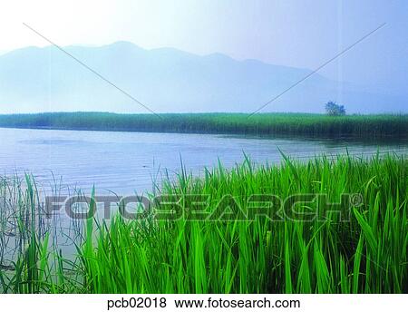spring, river, grass, day, river, 0448 View Large Photo Image Stock Photo - spring, river, grass, day, river, 0448. Fotosearch
