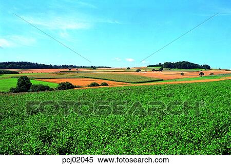 Stock Photography - tillage, cultivated land, holdings, day, farm, farm village, agricultural district. Fotosearch
