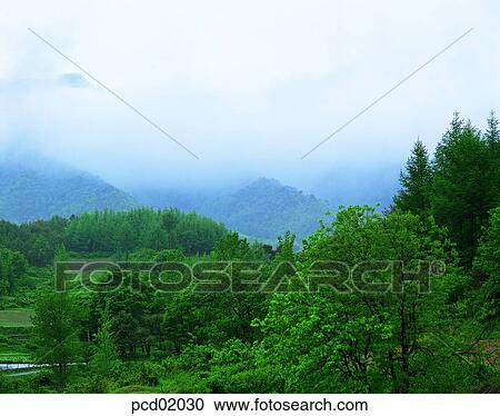 tree, day, spring, mountain, fresh green, outdoor View Large Photo Image Stock Image - tree, day, spring, mountain, fresh green, outdoor. Fotosearch