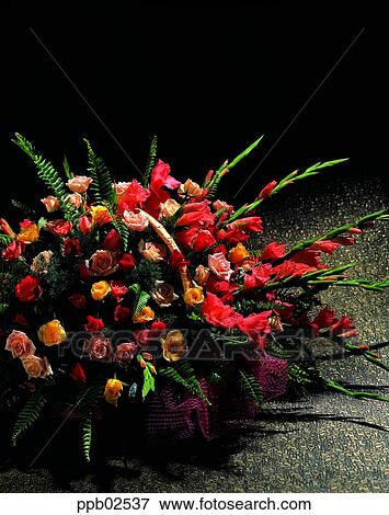 Gladiolus, Gladiolus, flower, bouquet, plant, nature View Large Photo Image Stock Photo - Gladiolus, Gladiolus, flower, bouquet, plant, nature. Fotosearch