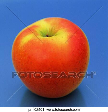 fruit, apple, objects, affairs, matters, things View Large Photo Image Stock Image - fruit, apple, objects, affairs, matters, things. Fotosearch