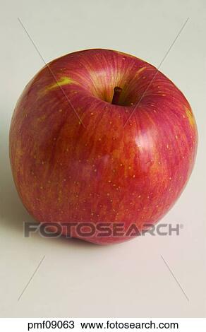 fruit, apple, objects, affairs, matters, things View Large Photo Image Stock Image - fruit, apple, objects, affairs, matters, things. Fotosearch