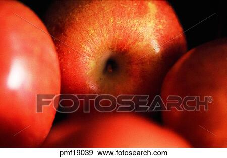 fruit, apple, objects, affairs, matters, things View Large Photo Image Stock Photo - fruit, apple, objects, affairs, matters, things. Fotosearch
