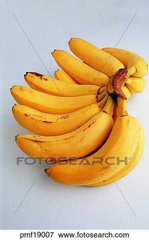 fruit, banana, objects, affairs, matters, things View Large Photo Image Stock Photo - fruit, banana, objects, affairs, matters, things. Fotosearch