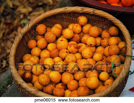 fruit, basket, objects, affairs, matters, things View Large Photo Image Stock Photography - fruit, basket, objects, affairs, matters, things. Fotosearch