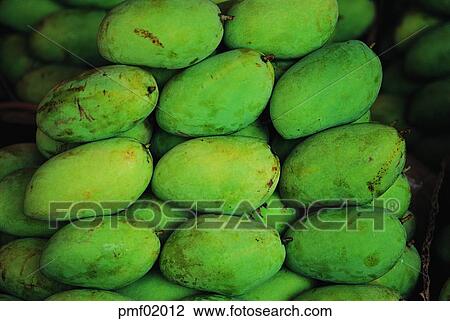 Stock Image - fruit, mango, objects, affairs, matters, things. Fotosearch