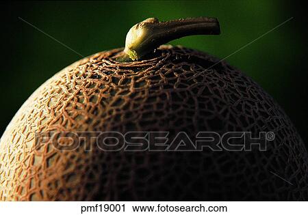 fruit, melon, melon, objects, affairs, matters View Large Photo Image Stock Image - fruit, melon, melon, objects, affairs, matters. Fotosearch