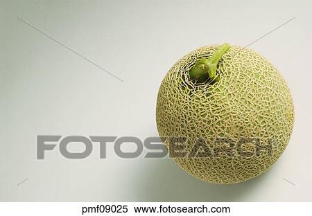fruit, melon, objects, affairs, matters, things View Large Photo Image Stock Photography - fruit, melon, objects, affairs, matters, things. Fotosearch