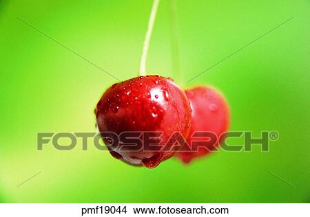 fruit, objects, affairs, matters, things, still life View Large Photo Image Picture - fruit, objects, affairs, matters, things, still life. Fotosearch