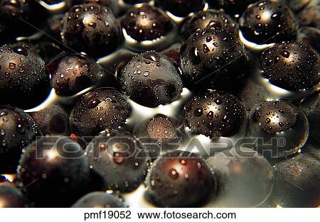Stock Image - fruit, objects, affairs, matters, things, harvest fruit. Fotosearch