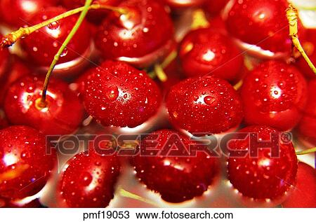 fruit, objects, affairs, matters, things, harvest fruit View Large Photo Image Stock Image - fruit, objects, affairs, matters, things, harvest fruit. Fotosearch