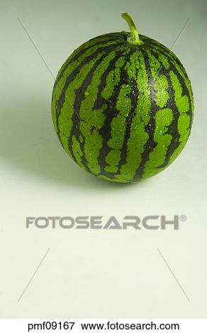 fruit, objects, affairs, matters, things, watermelon View Large Photo Image Stock Photo - fruit, objects, affairs, matters, things, watermelon. Fotosearch
