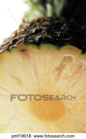 fruit, objects, affairs, matters, things, harvest fruit View Large Photo Image Stock Photo - fruit, objects, affairs, matters, things, harvest fruit. Fotosearch