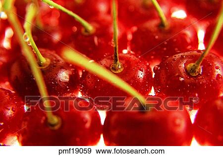 fruit, objects, affairs, matters, things, harvest fruit View Large Photo Image Stock Photo - fruit, objects, affairs, matters, things, harvest fruit. Fotosearch