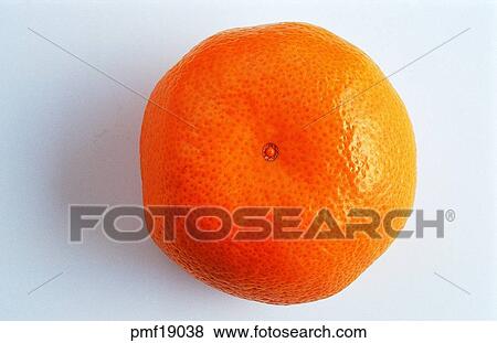 fruit, orange, mandarin, tangerin, objects, affairs View Large Photo Image Stock Photo - fruit, orange, mandarin, tangerin, objects, affairs. Fotosearch