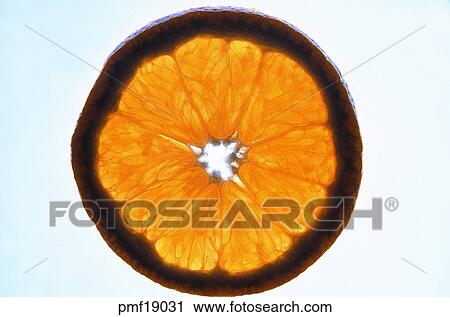 fruit, section, slice, objects, affairs, matters View Large Photo Image Stock Image - fruit, section, slice, objects, affairs, matters. Fotosearch