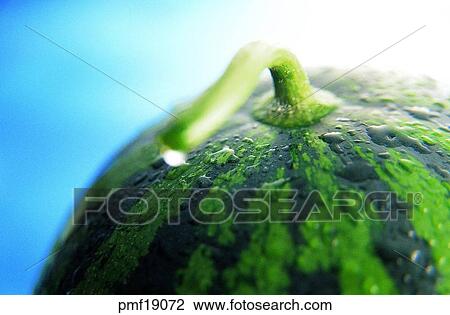 fruit, stem, stalk, objects, affairs, matters View Large Photo Image Stock Image - fruit, stem, stalk, objects, affairs, matters. Fotosearch