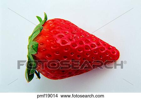 fruit, strawberry, objects, affairs, matters, things View Large Photo Image Picture - fruit, strawberry, objects, affairs, matters, things. Fotosearch