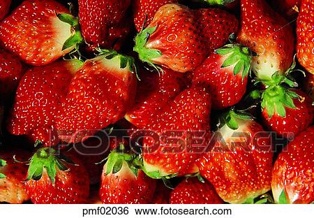 fruit, strawberry, objects, affairs, matters, things View Large Photo Image Stock Photograph - fruit, strawberry, objects, affairs, matters, things. Fotosearch
