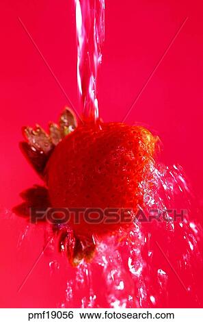 fruit, wash fruits, strawberry, water, objects, affairs View Large Photo Image Stock Photograph - fruit, wash fruits, strawberry, water, objects, affairs. Fotosearch
