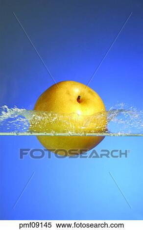 fruit, water, pear, objects, affairs, matters View Large Photo Image Stock Photography - fruit, water, pear, objects, affairs, matters. Fotosearch