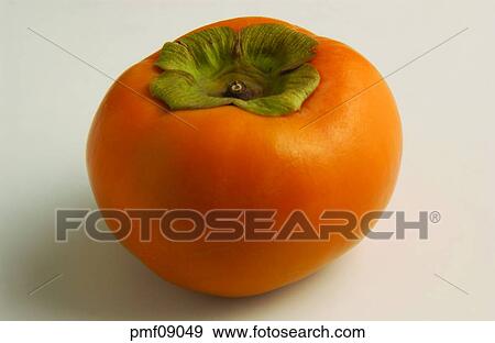 persimmon, fruit, objects, affairs, matters, things View Large Photo Image Stock Photo - persimmon, fruit, objects, affairs, matters, things. Fotosearch