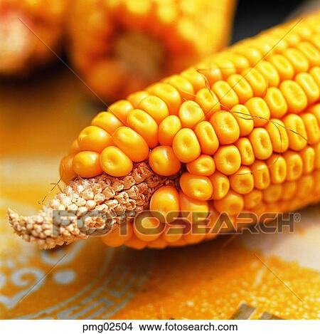 cereal, grain, agricultural products, farm products, harvest, vegetables View Large Photo Image Picture - cereal, grain, agricultural products, farm products, harvest, vegetables. Fotosearch