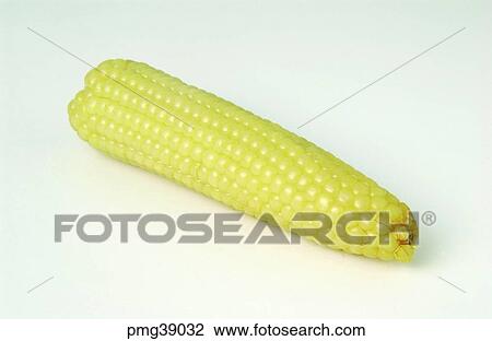 cereal, grain, agricultural products, farm products, indoor, vegetables View Large Photo Image Stock Image - cereal, grain, agricultural products, farm products, indoor, vegetables. Fotosearch