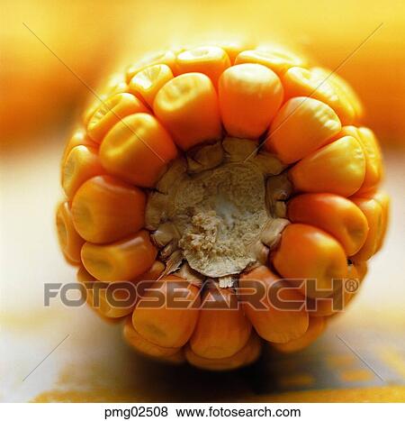 cereal, grain, agricultural products, farm products, harvest, vegetables View Large Photo Image Stock Photo - cereal, grain, agricultural products, farm products, harvest, vegetables. Fotosearch
