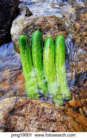 Stock Image - exterior, farm products, outdoor, stream of water, stream, agricultural products. Fotosearch