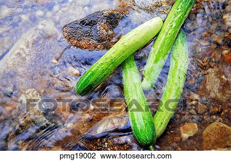 Stock Image - exterior, farm products, outdoor, stream of water, stream, agricultural products. Fotosearch