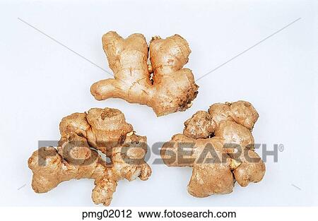 ginger, vegetables, greens, spices and condiments, dressing materials, seasoning View Large Photo Image Stock Image - ginger, vegetables, greens, spices and condiments, dressing materials, seasoning. Fotosearch