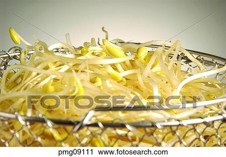 greens, farm products, vegetables, indoor, basket, agricultural products View Large Photo Image Stock Image - greens, farm products, vegetables, indoor, basket, agricultural products. Fotosearch