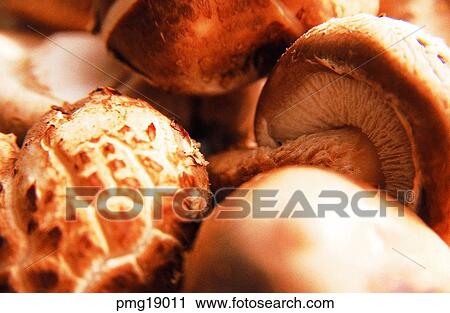 Stock Image - greens, farm products, vegetables, indoor, mushroom, agricultural products. Fotosearch