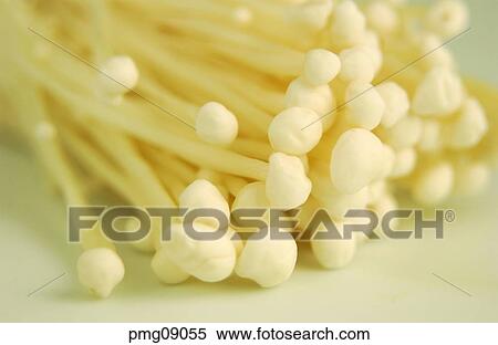 greens, farm products, vegetables, indoor, mushroom, agricultural products View Large Photo Image Stock Photography - greens, farm products, vegetables, indoor, mushroom, agricultural products. Fotosearch