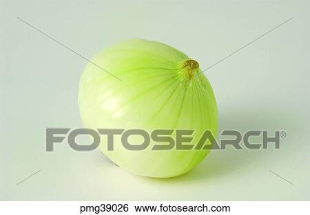Stock Photograph - onion, farm products, greens, vegetables, indoor, agricultural products. Fotosearch