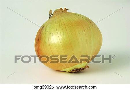 Stock Photography - onion, farm products, greens, vegetables, indoor, agricultural products. Fotosearch