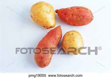 potato, sweet potato, cereal, grain, agricultural products, farm products View Large Photo Image Stock Photography - potato, sweet potato, cereal, grain, agricultural products, farm products. Fotosearch