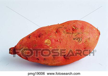 sweet potato, cereal, grain, agricultural products, farm products, indoor View Large Photo Image Stock Photograph - sweet potato, cereal, grain, agricultural products, farm products, indoor. Fotosearch