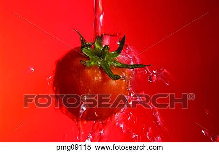 Stock Photography - vegetables, farm products, indoor, cherry tomato, moisture, agricultural products. Fotosearch
