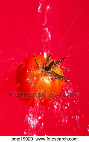 Stock Image - wash fruits, agricultural products, farm products, water, water, cherry tomato. Fotosearch
