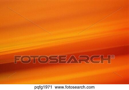 background, background, fire light, light, light, flash, glitter View Large Photo Image Stock Image - background, background, fire light, light, light, flash, glitter. Fotosearch