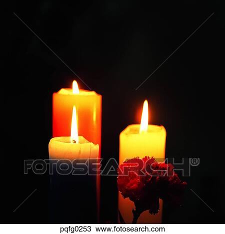 Stock Image - flower, light, flash, glitter, sparkle, light, twinkle. Fotosearch