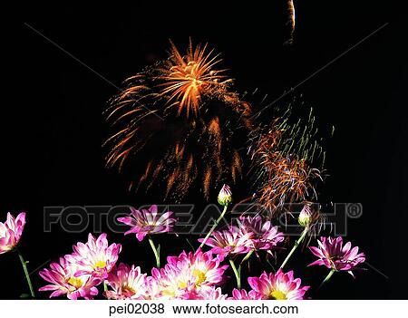 Stock Photo - flower, neon, night, flame, blaze, spark, fireworks display. Fotosearch