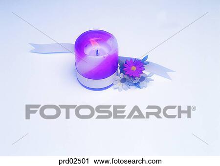 flower, objects, things, articles, articles, article View Large Photo Image Stock Image - flower, objects, things, articles, articles, article. Fotosearch