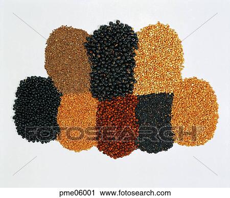 corn, cereals, grain, sesame, farm products, objects View Large Photo Image Stock Image - corn, cereals, grain, sesame, farm products, objects. Fotosearch