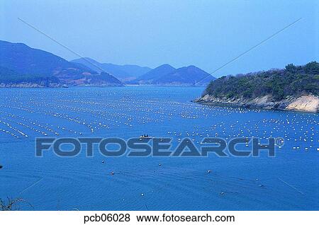 raising industry, breeding industry, raising, farming, fishery, fishing industry View Large Photo Image Stock Photo - raising industry, breeding industry, raising, farming, fishery, fishing industry. Fotosearch